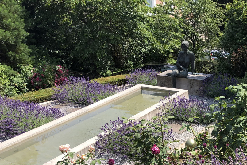 Wasser im Garten umgeben von duftendem Lavendel